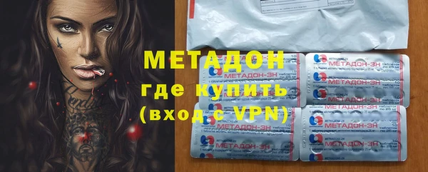гашик Ельня