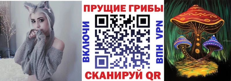 наркошоп  блэк спрут ТОР  Галлюциногенные грибы Psilocybine cubensis  Верхняя Салда 