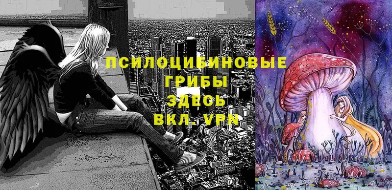 Галлюциногенные грибы Magic Shrooms  даркнет сайт  blacksprut tor  Верхняя Салда 